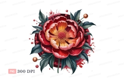 Crimson yellow peony bloom image Product Image 1