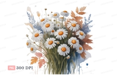 White daisies orange centers green stems image Product Image 1