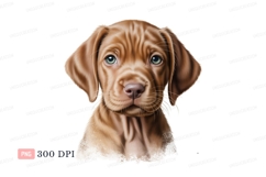 Brown puppy green eyes image Product Image 1