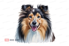 Happy Sheltie Dog Portrait shetland sheepdog Product Image 1