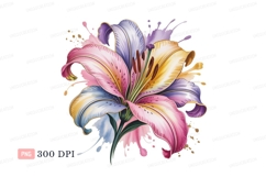 Colorful lily bloom with paint splashes flower pink Product Image 1