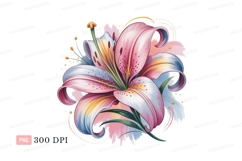 Pink blue lily bloom yellow Product Image 1