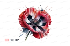 Vibrant red poppy watercolor splash flower white Product Image 1