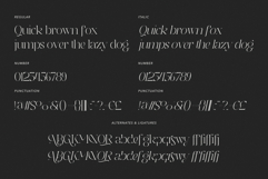 Hermetic - Duo Font Product Image 7
