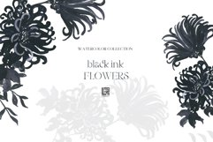 Black Ink Flowers Watercolor Clipart Product Image 5