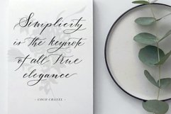 Black Ink Flowers Watercolor Clipart Product Image 3