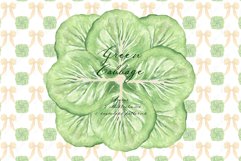 Cabbage Green Vintage DIY Digital Clipart. Product Image 2