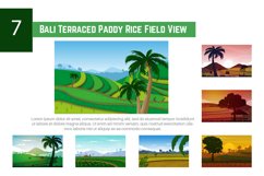 7 Bali Terraced Paddy Rice Field View Product Image 1