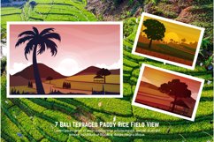 7 Bali Terraced Paddy Rice Field View Product Image 4