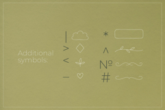 Delicate Line Elegant Decorative Font Product Image 11