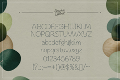 Delicate Line Elegant Decorative Font Product Image 12