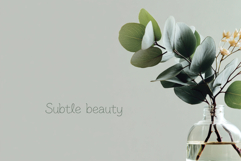 Delicate Line Elegant Decorative Font Product Image 3