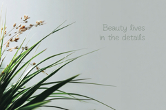 Delicate Line Elegant Decorative Font Product Image 5