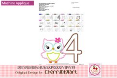 Owl Girl baby Numbers machine applique embroidery bundle 184 Product Image 4