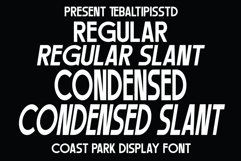 Coast Park 4 Style Product Image 2