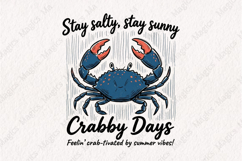 Coastal Beach Vibes Summer png Product Image 1