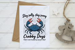 Coastal Beach Vibes Summer png Product Image 3