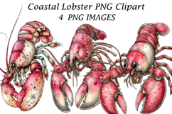 Coastal Lobster PNG Clipart Product Image 1