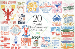 Coastal Vibes Summer SVG PNG Bundle Product Image 1