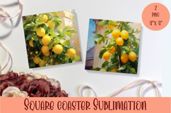 Lemons Coaster Design. Lemons Sublimation Product Image 1