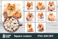 Highland cow sunflower square coaster sublimation, funny dog coaster, rainbow cat square coaster, flower coaster PNG.