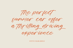 Cocktail Bigoter - Modern Script Font Product Image 2