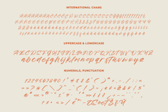 Cocktail Bigoter - Modern Script Font Product Image 10