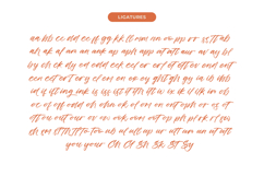 Cocktail Bigoter - Modern Script Font Product Image 12