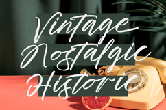 Cocktail Bigoter - Modern Script Font Product Image 13