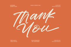 Cocktail Bigoter - Modern Script Font Product Image 15