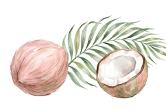 Coconut Png| Pink Summer Png Product Image 1