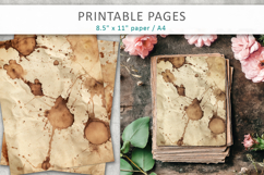 vintage coffee stain paper background Product Image 3