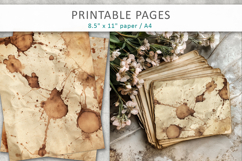 vintage coffee stain paper background Product Image 1