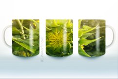 Sunflower Coffee Mug Sublimation Bundle, Tea Cup, Sunflower Product Image 2