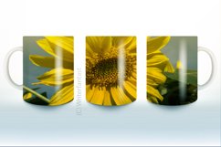 Sunflower Coffee Mug Sublimation Bundle, Tea Cup, Sunflower Product Image 6