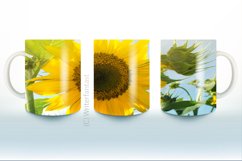 Sunflower Coffee Mug Sublimation Bundle, Tea Cup, Sunflower Product Image 5