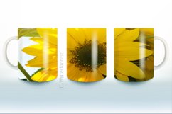 Sunflower Coffee Mug Sublimation Bundle, Tea Cup, Sunflower Product Image 9