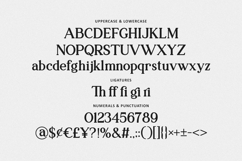 Cogico Morila Font Branding Serif Font Product Image 5