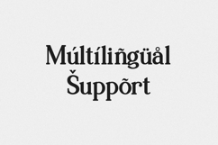 Cogico Morila Font Branding Serif Font Product Image 6