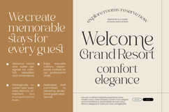 Collection Morning Modern Contemporary Serif Product Image 5