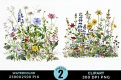 Colorful Nord Wildflowers PNG Set Clipart Product Image 1