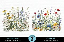 Colorful Nord Wildflowers PNG Set Clipart Product Image 1