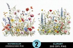 Colorful Nord Wildflowers Graphic Clipart Product Image 1