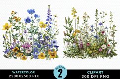 Colorful Nord Wildflowers PNG Set Clipart Product Image 1