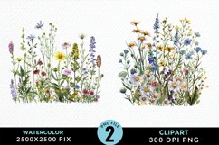 Colorful Nord Wildflowers PNG Set Clipart Product Image 1