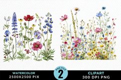 Colorful Nord Wildflowers PNG Set Clipart Product Image 1