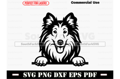 Peeking Collie Dog SVG PNG DXF EPS PDF Product Image 1