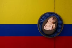 Backgrounds for Photography & Marketing. Colombia Product Image 2