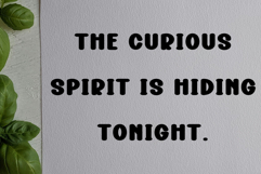 Color Bold Product Image 7