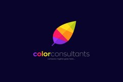 COlorful leaf consultancy logo template Product Image 1